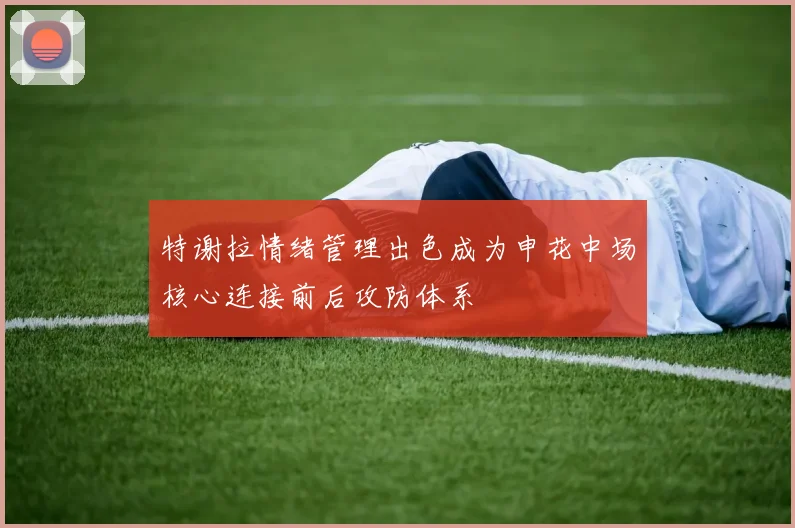 特谢拉情绪管理出色成为申花中场核心连接前后攻防体系